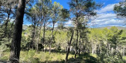 Inmobiliaria picture 1 Ref. Nº. 82448