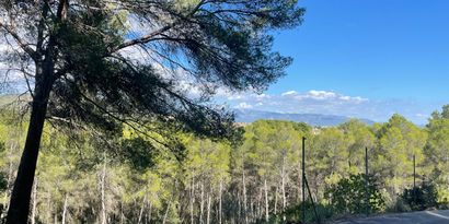 Inmobiliaria picture 4 Ref. Nº. 82448