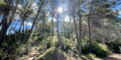 Inmobiliaria picture 0 Ref. Nº. 82450