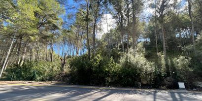 Inmobiliaria picture 1 Ref. Nº. 82450