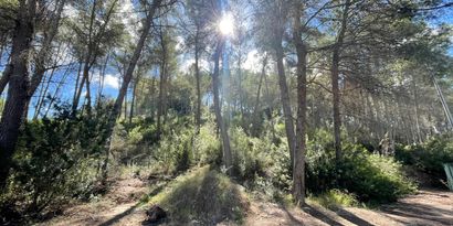 Inmobiliaria picture 4 Ref. Nº. 82450