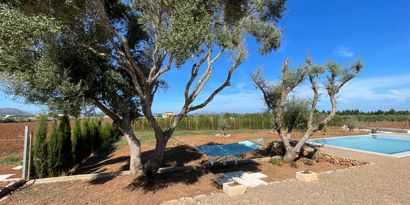 Real Estates picture 3 Ref. R28527