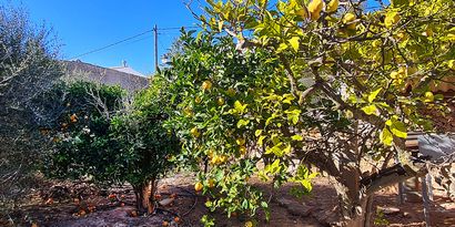 Inmobiliaria picture 3 Ref. Nº. 82508