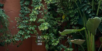 Inmobiliaria picture 14 Ref. Nº. R28538