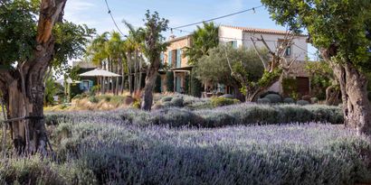 Inmobiliaria picture 14 Ref. Nº. 82713