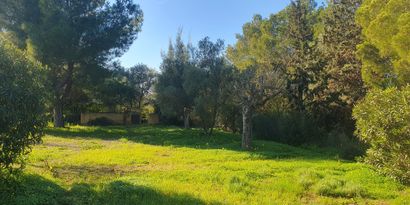 Inmobiliaria picture 12 Ref. Nº. 82437