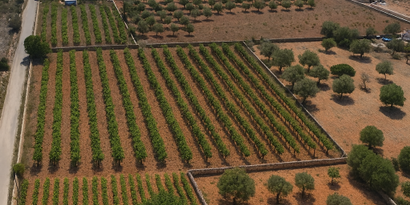 Immobilien picture 7 Ref. Nr. 80382