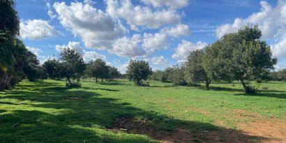 Real Estates picture 3 Ref. 82786