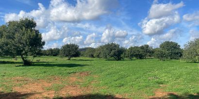 Real Estates picture 5 Ref. 82786