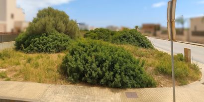 Real Estates picture 1 Ref. 82754