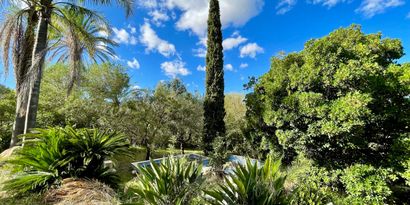 Immobilien picture 22 Ref. Nr. 82787