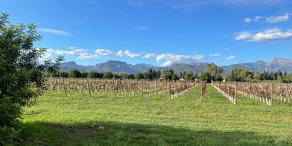 Inmobiliaria picture 10 Ref. Nº. 82502