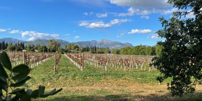 Inmobiliaria picture 9 Ref. Nº. 82502