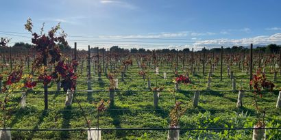 Inmobiliaria picture 6 Ref. Nº. 82502