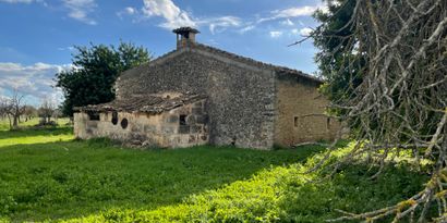 Inmobiliaria picture 8 Ref. Nº. 82502