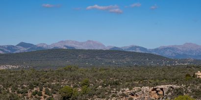 Inmobiliaria picture 46 Ref. Nº. 80884