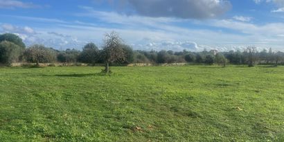 Inmobiliaria picture 1 Ref. Nº. 82862