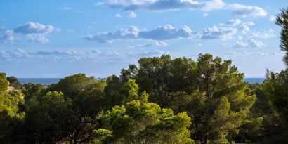 Недвижимость picture 14 Ref 82777