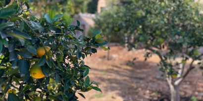 Real Estates picture 17 Ref. R28823