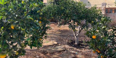 Real Estates picture 16 Ref. R28823