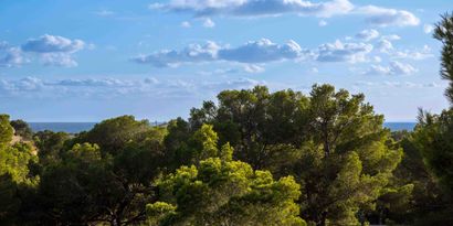 Real Estates picture 32 Ref. 82777