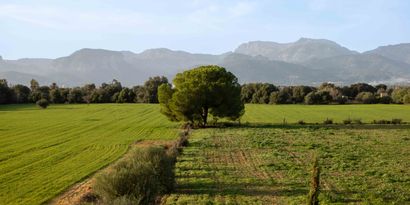 Immobilien picture 16 Ref. Nr. 81969