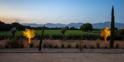 Immobilien picture 18 Ref. Nr. 81969