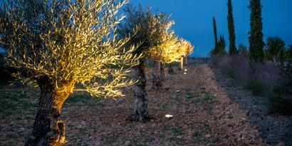 Immobilien picture 6 Ref. Nr. 81969