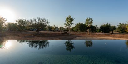 Inmobiliaria picture 5 Ref. Nº. 78704