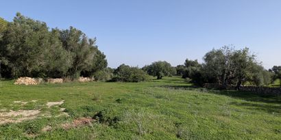 Real Estates picture 1 Ref. 82788