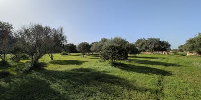 Real Estates picture 4 Ref. 82788