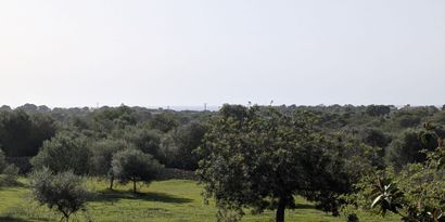 Real Estates picture 7 Ref. 82788