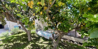 Immobilien picture 2 Ref. Nr. 82423