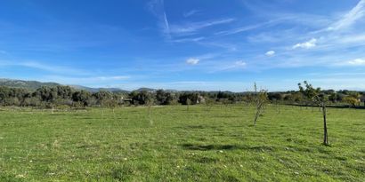 Real Estates picture 4 Ref. 82897