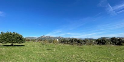 Real Estates picture 5 Ref. 82897