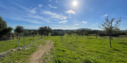 Real Estates picture 0 Ref. 82897