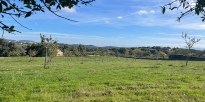 Real Estates picture 1 Ref. 82897