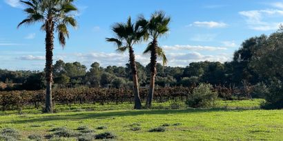 Real Estates picture 18 Ref. 82917