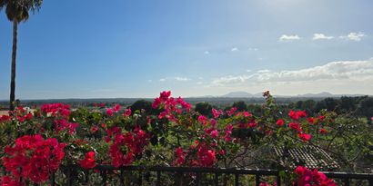 Real Estates picture 13 Ref. R28910