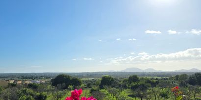 Real Estates picture 14 Ref. R28910