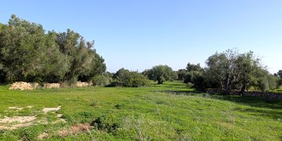 Real Estates picture 7 Ref. 82788