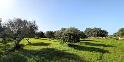 Real Estates picture 1 Ref. 82788