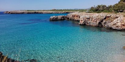 Real Estates picture 11 Ref. R28912