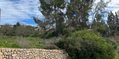 Real Estates picture 0 Ref. 82974