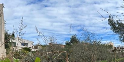 Real Estates picture 2 Ref. 82974