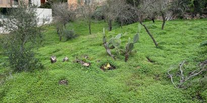 Real Estates picture 1 Ref. 82973