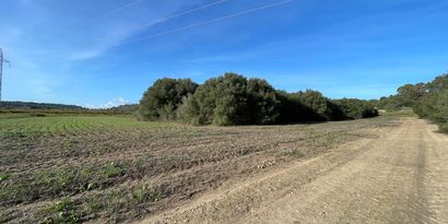 Real Estates picture 3 Ref. 82727