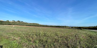 Real Estates picture 0 Ref. 82811