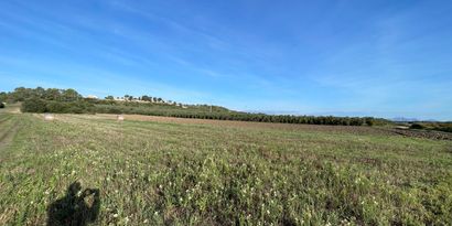 Real Estates picture 5 Ref. 82811