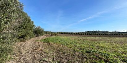 Real Estates picture 2 Ref. 82811